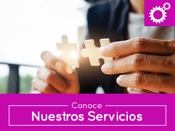 Vea nuestros Servicios